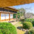 Ogród w stylu japońskim